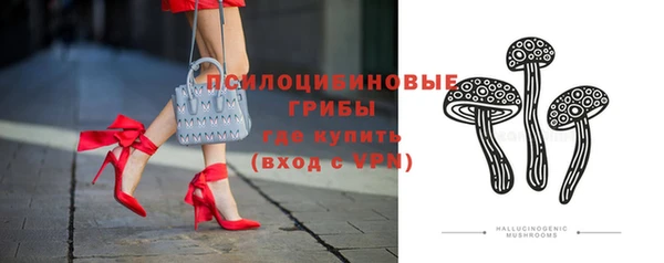 mdpv Михайловск
