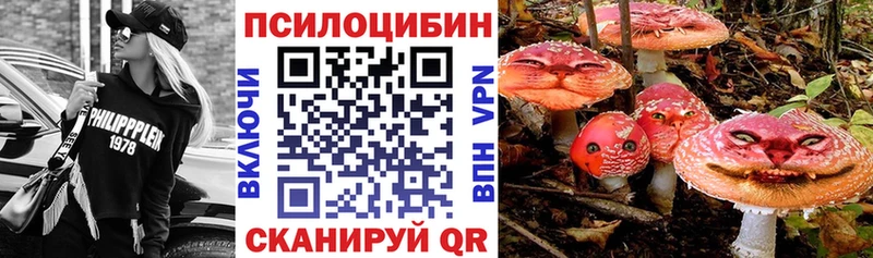 сколько стоит  Лабытнанги  Галлюциногенные грибы GOLDEN TEACHER 